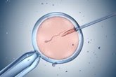 Foto: Time-lapse, ¿tiene alguna ventaja en la fecundación 'in vitro'?
