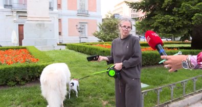 Vídeos Chance